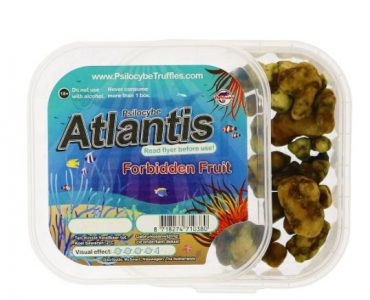 Atlantis Magic Truffles