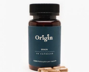 Brain Health Mushroom Capsules
