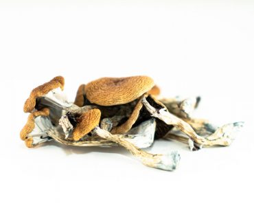 Brazilian Magic Mushroom For Sale In Australia