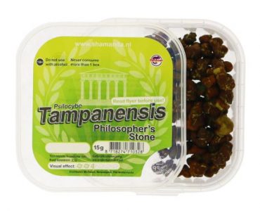 Tampanensis Magic Truffles