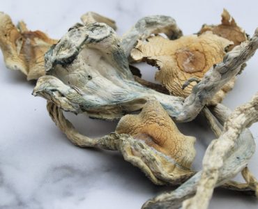 Treasure Coast Magic Mushroom For Sale Australia